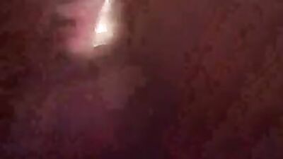 Zoo dog porn: knottyheaveh proton me zoo porn 2026