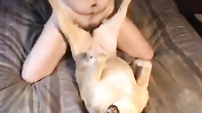 Zoo dog porn: compilation dog zoo porn pussy