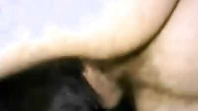 2 dog girl: porno game bestiality