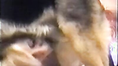Art of zoo: extreme animals sex