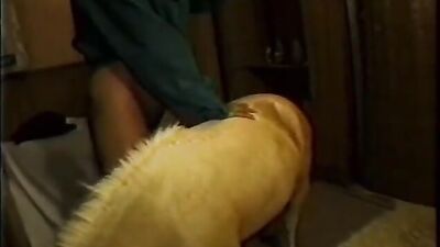 Art of zoo porno: 2 men fucking a dog zoos porn