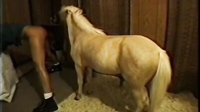 Art of zoo porno: 2 men fucking a dog zoos porn