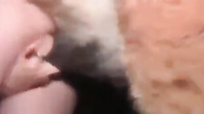 Dog sex video: download zoo video