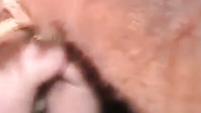 Dog sex video: download zoo video