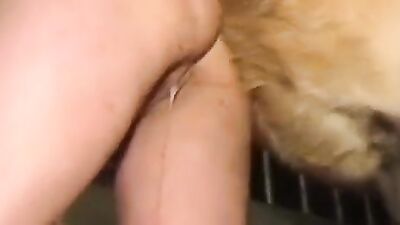 Bestiality sex: bestiality girls fuck