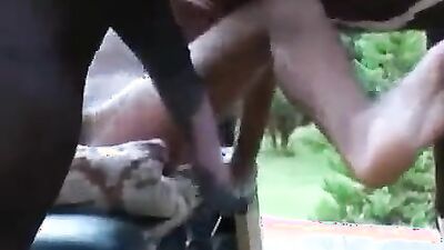 Zoo horse porn: porn comix bestiality ben 10