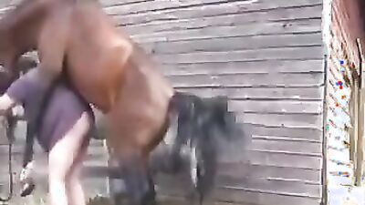 Bestiality xxx: compilation dog zoo porn pussy