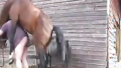 Bestiality xxx: compilation dog zoo porn pussy