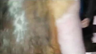 Zoo porn 2026: asian zoo video