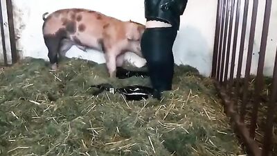 Zoo porn girls: video 18 zoo english