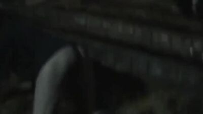 Zoo porno video: feral fenzy porn animals