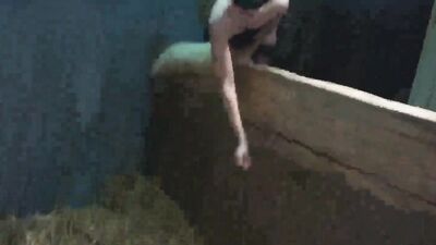 Zoo dog porn: dog porn missionary compilation