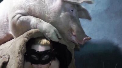 Zoo dog porn: dog porn missionary compilation