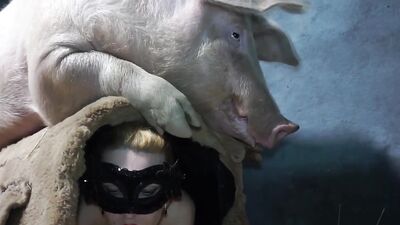 Girls 5 dogs: zoo video film