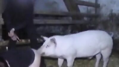 Animal sex: artif zoo casting aoz video vintage