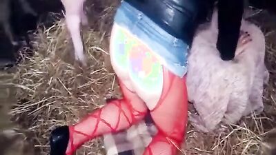 Dog fucking girl: cumstar zoo porn