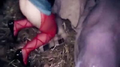 Dog fucking girl: cumstar zoo porn