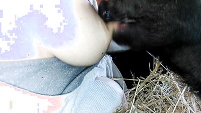Girl having dog: bestiality game boosty