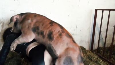 Zoophilia: homemade gay dog porn