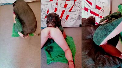 Russian zoo porn: big ass bestiality hentai