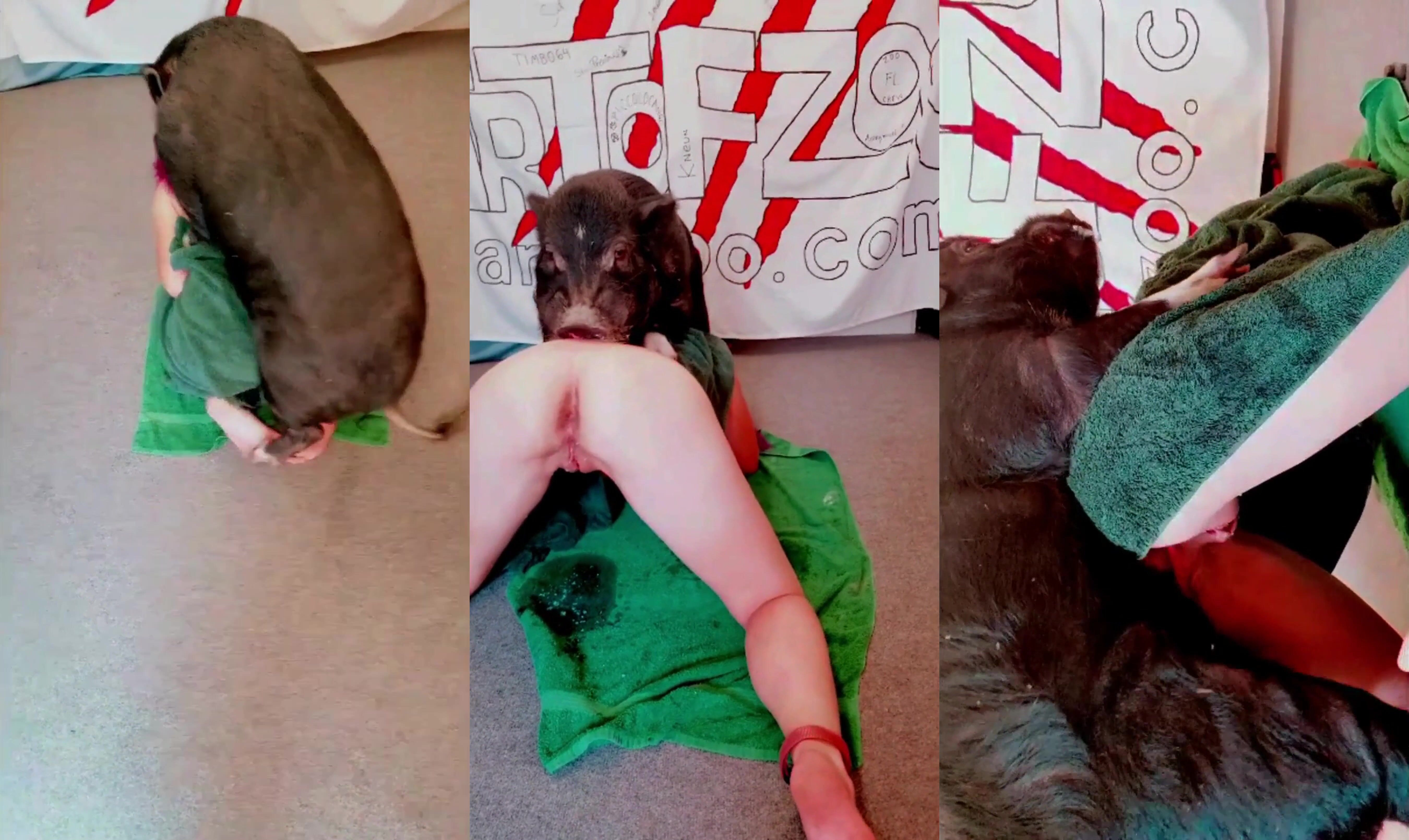 Russian zoo porn: big ass bestiality hentai