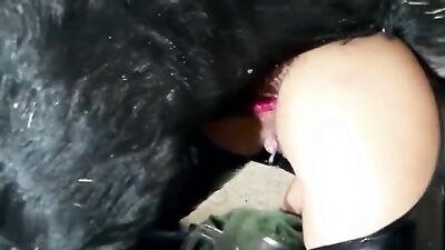 3d dog porn: exclusive zoo porn