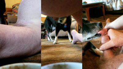 Dog fucking girl: dog and girls porno gallery
