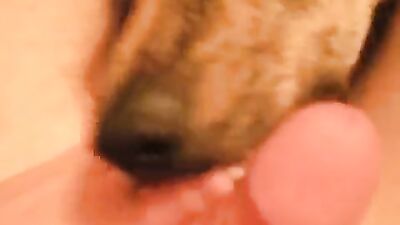Girl cat dog: zoo tiktok porn