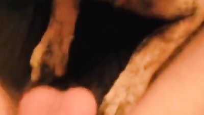 Girl cat dog: zoo tiktok porn