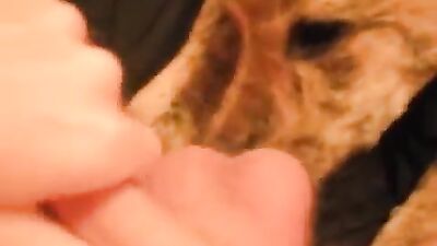 Girl cat dog: zoo tiktok porn
