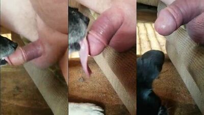 Teen dog sex: zoo sex zoophilia