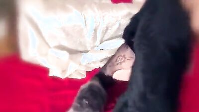 Dog girl porn: zoo dogs sex porno