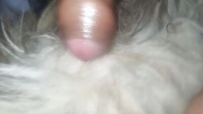 Dog girl: sex dog virgin