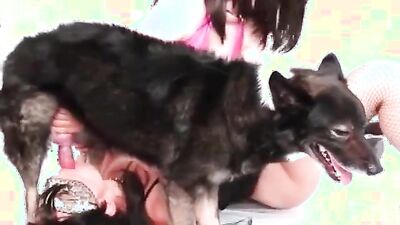 2 dog girl: animal anime porn
