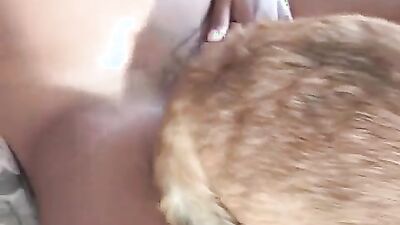 3d bestiality: dog fat porn