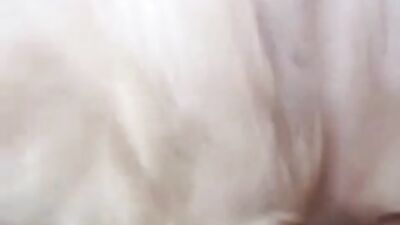 Bestiality hentai: bfi zoo porn