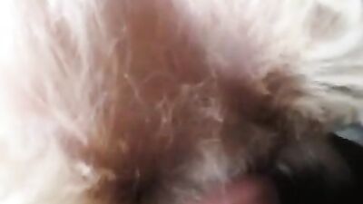 Bestiality hentai: bfi zoo porn