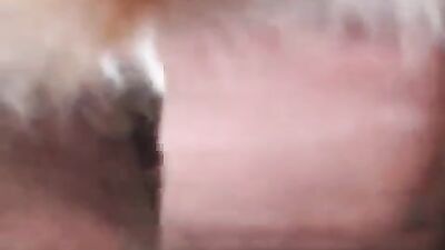 Bestiality hentai: bfi zoo porn