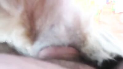 Bestiality hentai: bfi zoo porn