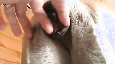 Animal crossing porn: artif zoo casting aoz video vintage