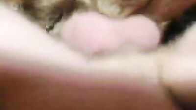 Zoo porn video: new zoo dolphin fuck girl video