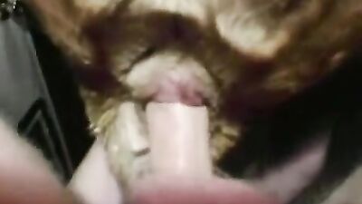Zoo porn video: new zoo dolphin fuck girl video