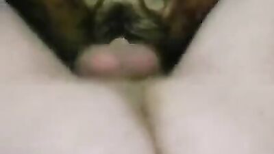 Zoo porn video: new zoo dolphin fuck girl video