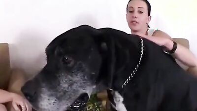 Dog get girl: artofzoo horse fire bestiality
