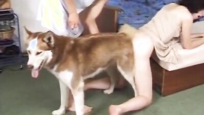 Zoo sex: vintage brasil bestiality