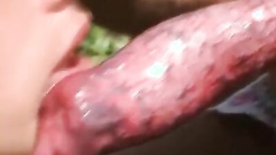 Bestiality porn: loba dogs porn
