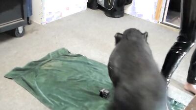 Girl dog video: female zoo dog porn
