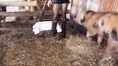 Bestiality hentai: porn zoo ramona dog crossbone