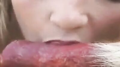 Sex animal's: sex animals porn video