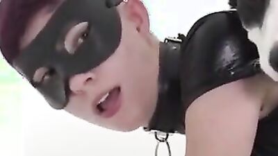 Animal dog sex: evil porn dog